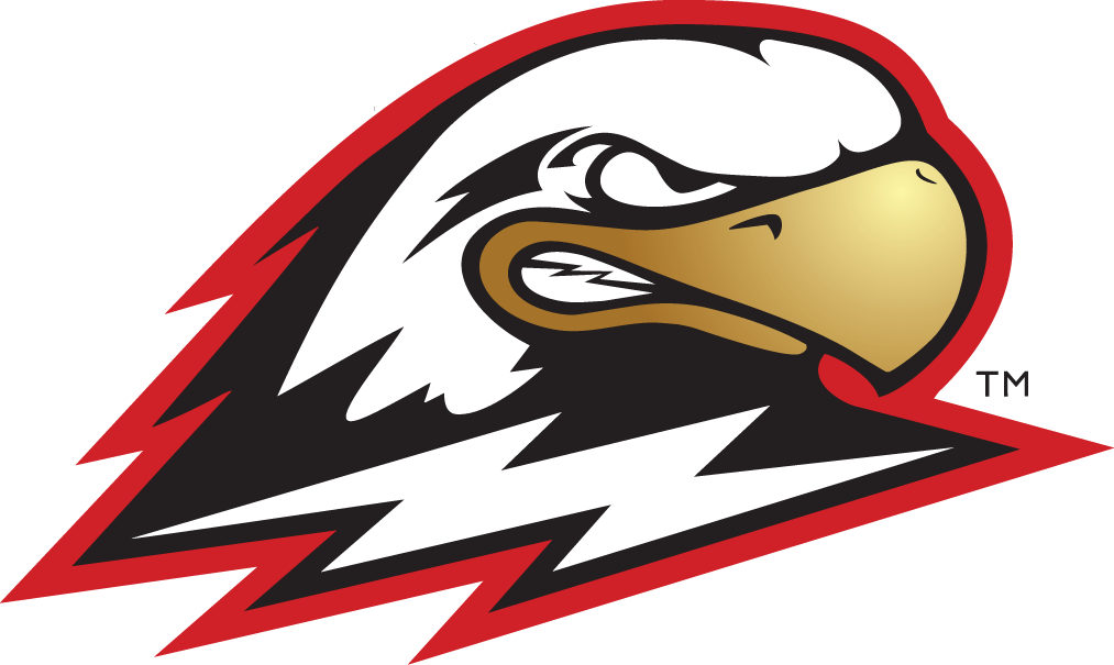 Southern Utah Thunderbirds 2002-Pres Secondary Logo iron on transfers for clothing